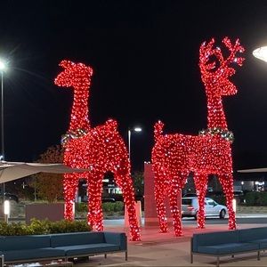 Meet your Posher, Heidi